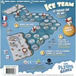 Dos de la boite du jeu Ice Team XXL